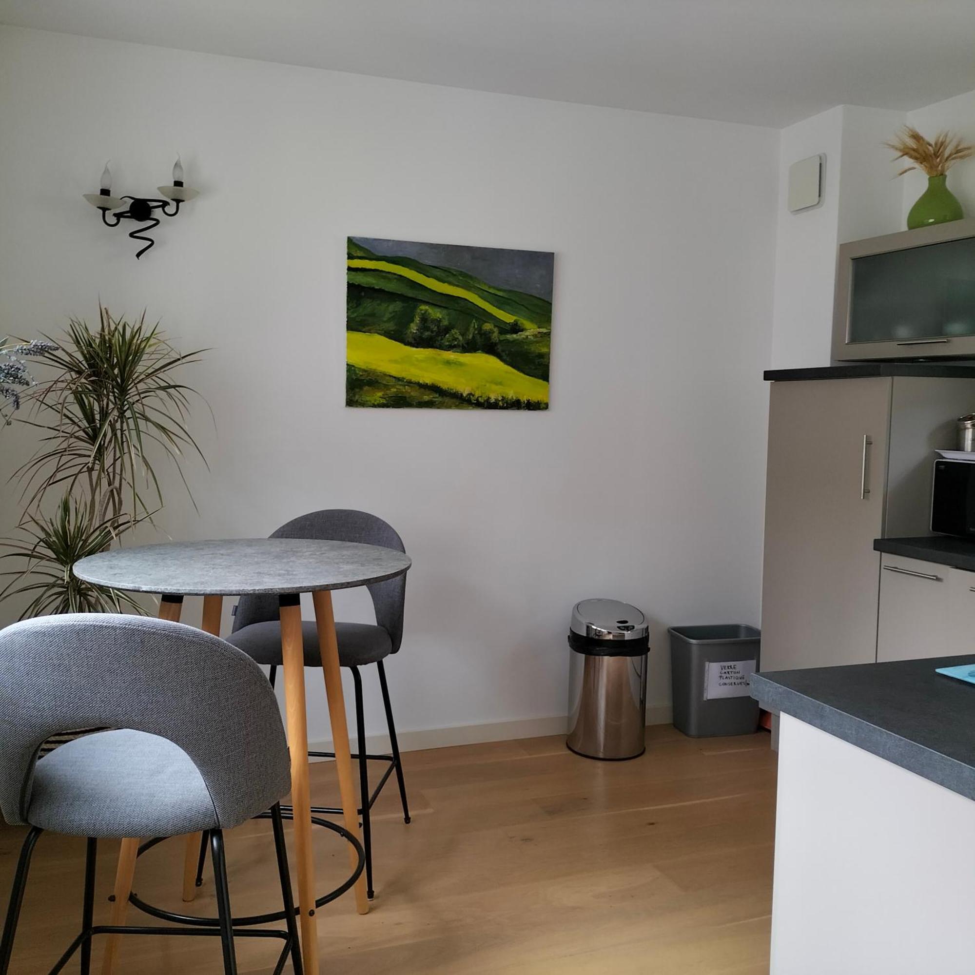 Appartement Salamandre オルレアン エクステリア 写真