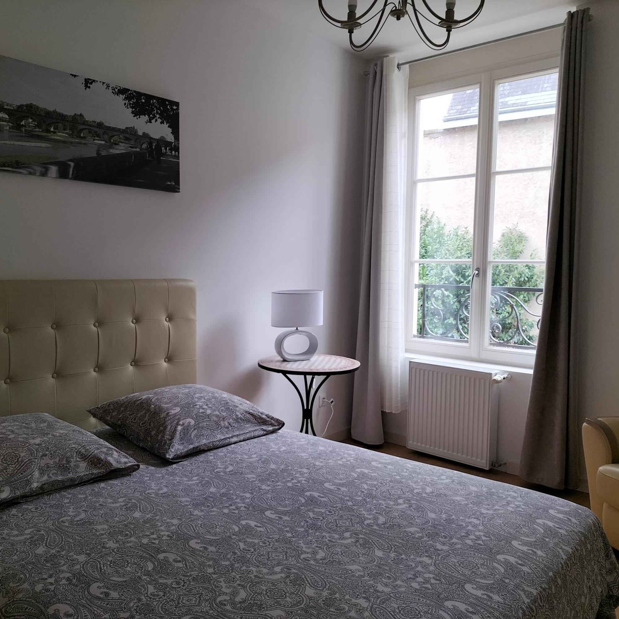 Appartement Salamandre オルレアン エクステリア 写真
